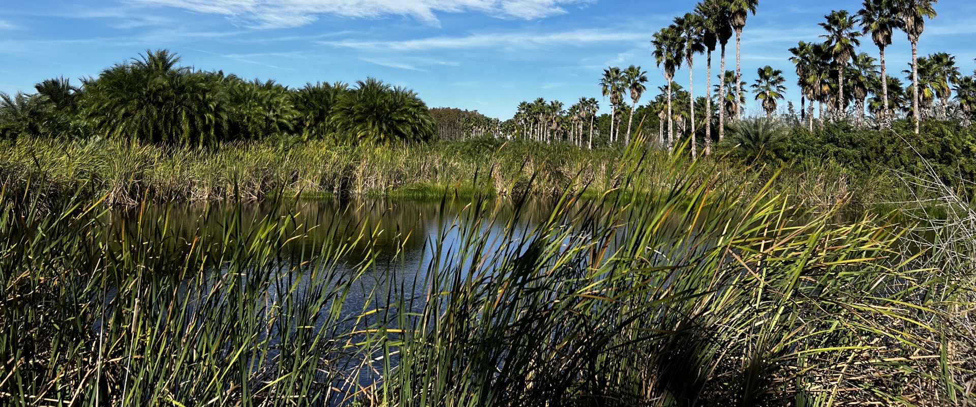 Raising Environmental Awareness in Northwest Florida