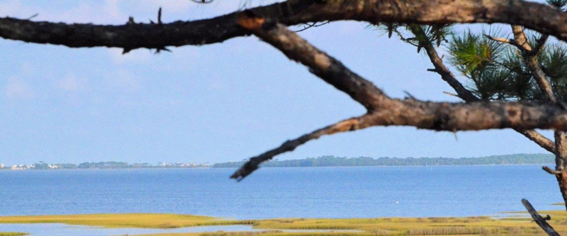 Exploring the Sustainable Living Resources Offered by Environmental Organizations in Northwest Florida