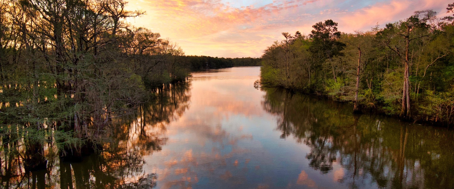 Environmental Organizations in Northwest Florida: Success Stories