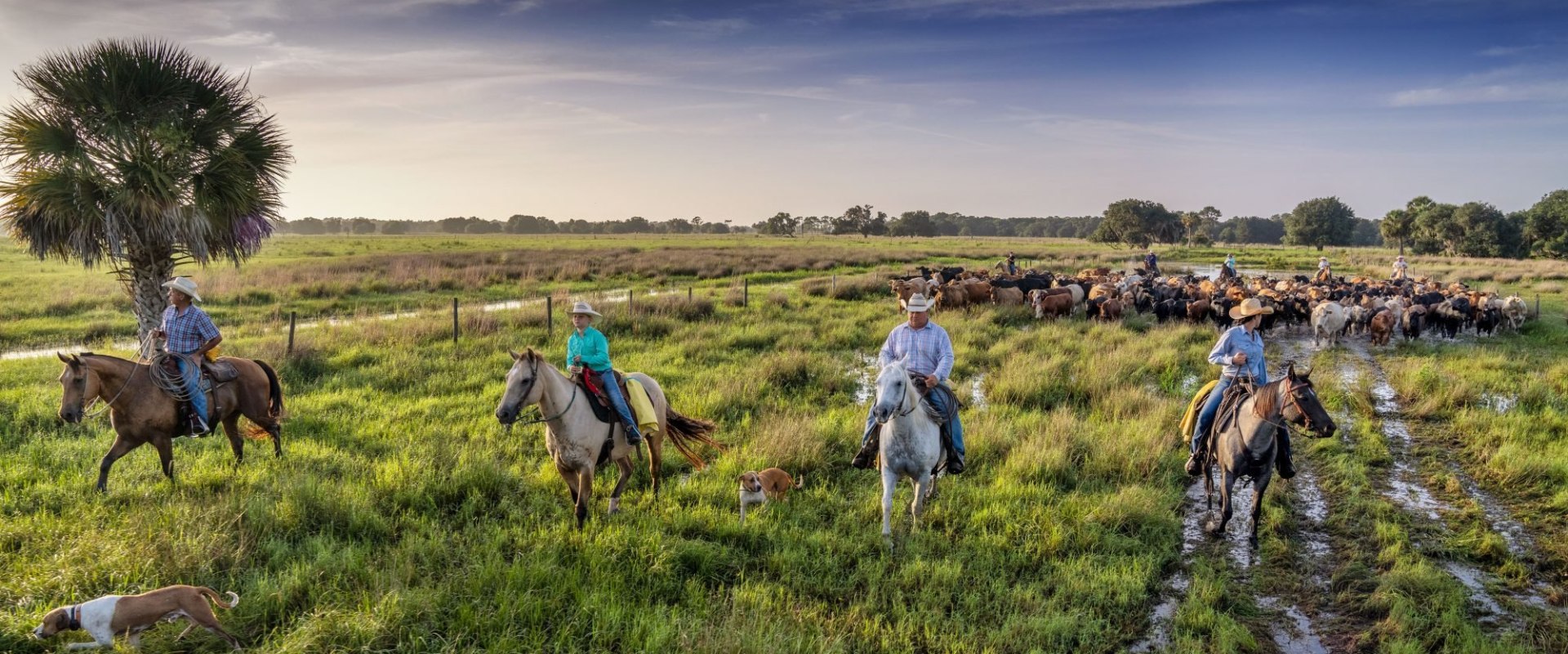 Collaboration among Environmental Organizations in Northwest Florida