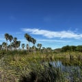 Raising Environmental Awareness in Northwest Florida