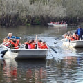 The Environmental Challenges of Northwest Florida