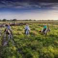 Collaboration among Environmental Organizations in Northwest Florida