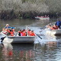 Exploring Environmental Organizations in Northwest Florida