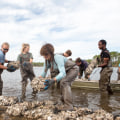 Supporting the Environment in Northwest Florida: How Individuals Can Make a Difference