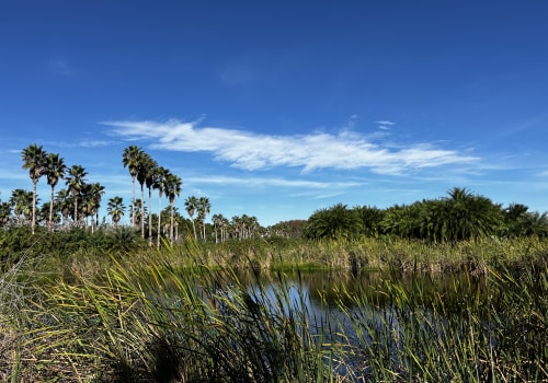 Raising Environmental Awareness in Northwest Florida