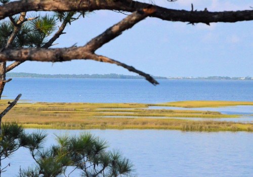 Exploring the Sustainable Living Resources Offered by Environmental Organizations in Northwest Florida