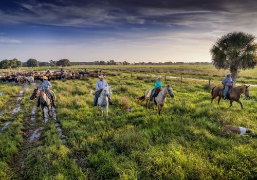 Collaboration among Environmental Organizations in Northwest Florida