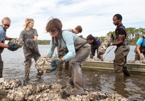 Supporting the Environment in Northwest Florida: How Individuals Can Make a Difference